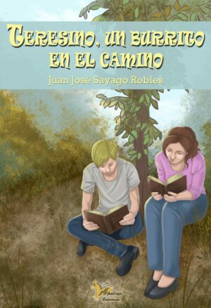 teresino-un-burrito-en-el-camino.jpg